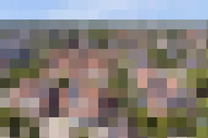 Trogven 18 Warmenhuizen thumbnail 42