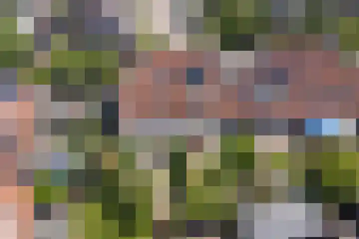 Trogven 18 Warmenhuizen thumbnail 44