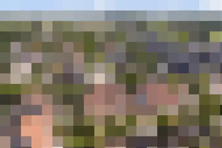 Trogven 18 Warmenhuizen thumbnail 45