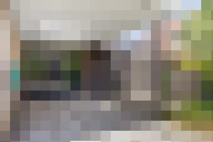 Trogven 18 Warmenhuizen thumbnail 5