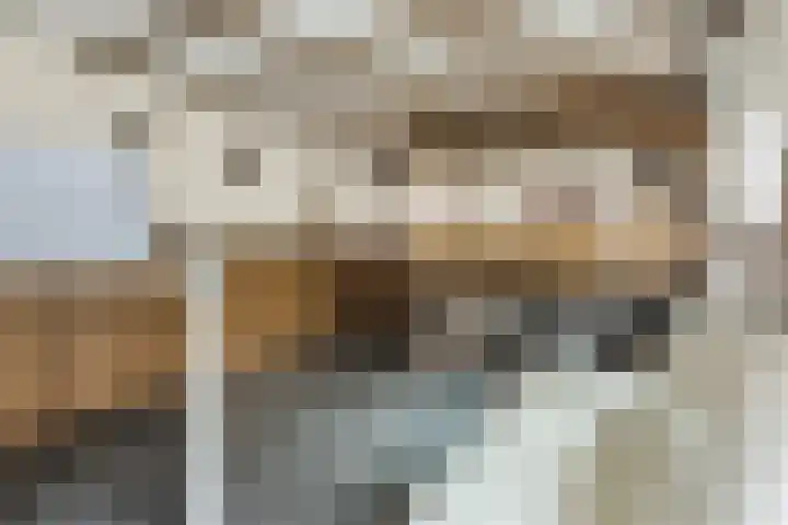 Trompet 120 's-Hertogenbosch thumbnail 26