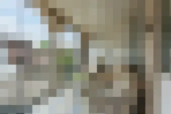 Trompet 120 's-Hertogenbosch thumbnail 31