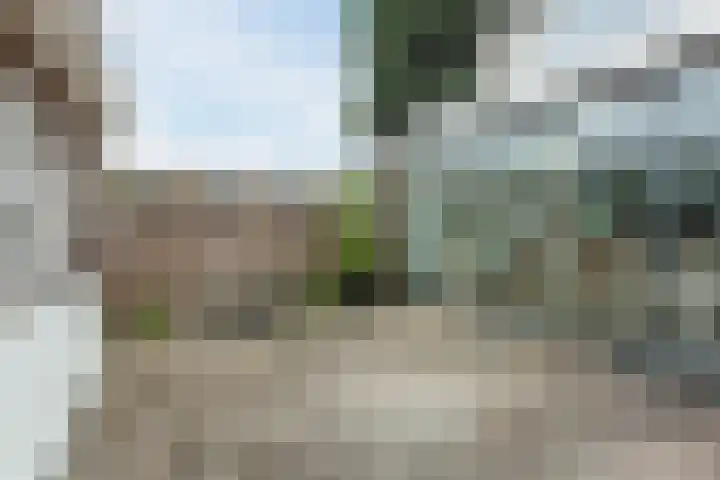 Trompet 120 's-Hertogenbosch thumbnail 33