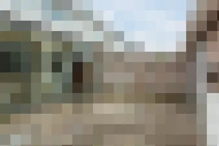 Trompet 120 's-Hertogenbosch thumbnail 34