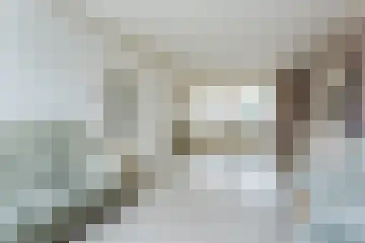 Trompet 120 's-Hertogenbosch thumbnail 6