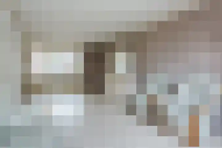Trompet 120 's-Hertogenbosch thumbnail 7