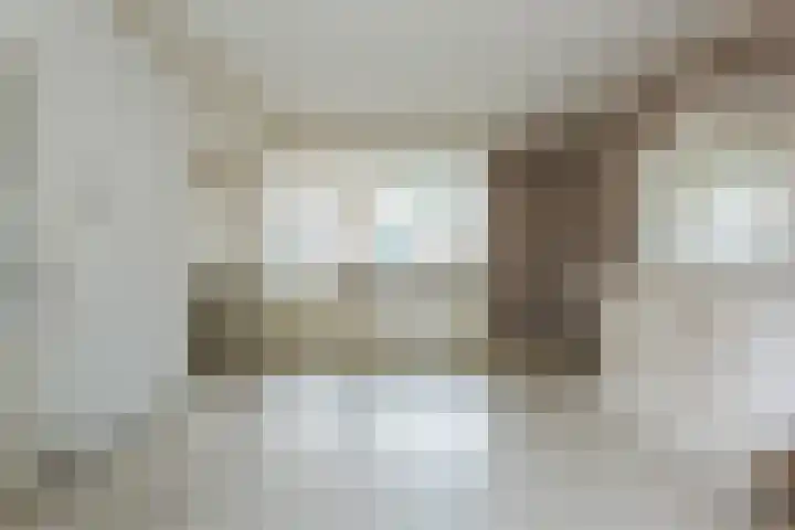 Trompet 120 's-Hertogenbosch thumbnail 8