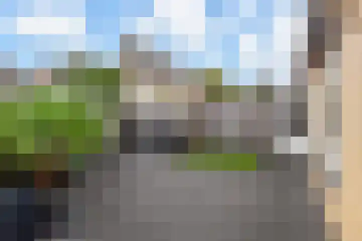 Trompet 2 De Lier thumbnail 11