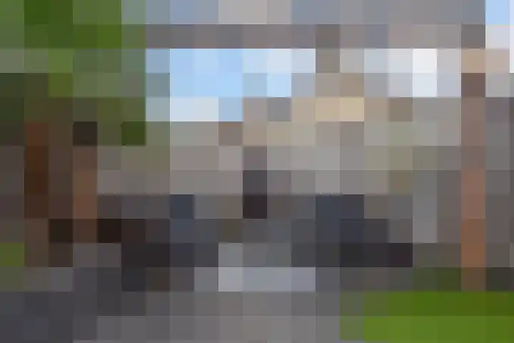 Trompet 2 De Lier thumbnail 12