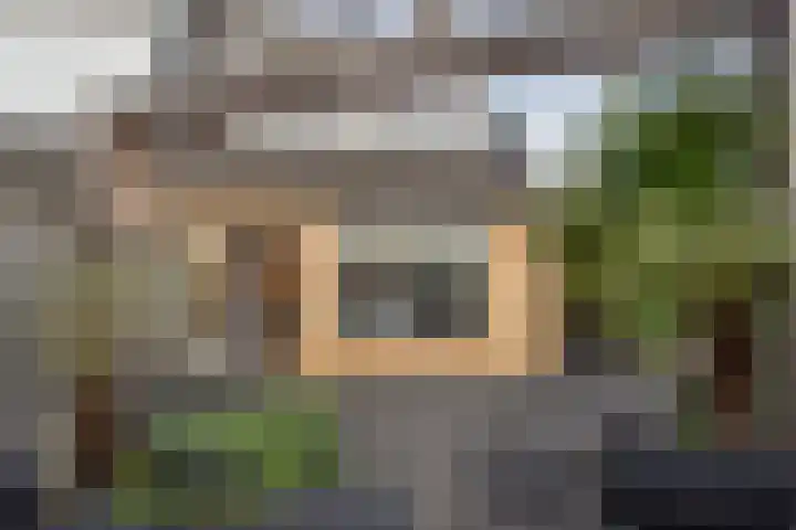 Trompet 2 De Lier thumbnail 13