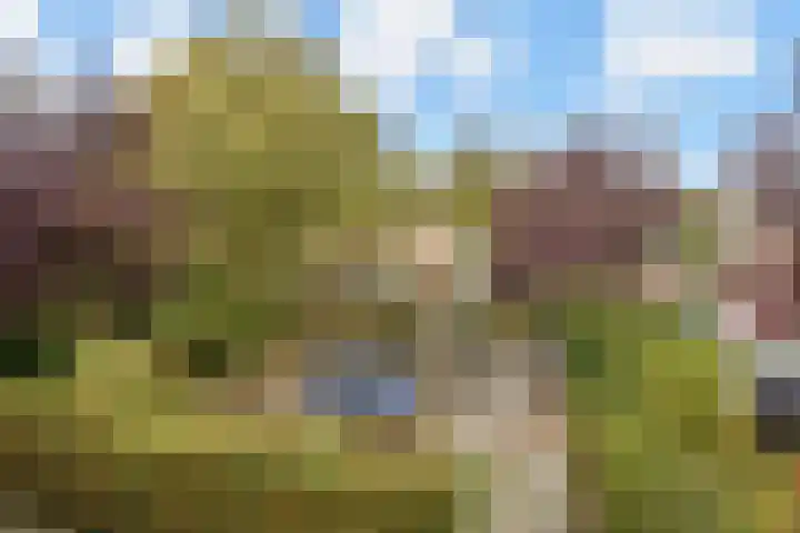 Trompet 2 De Lier thumbnail 40