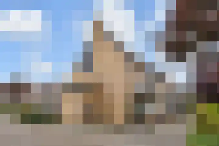 Trompet 2 De Lier thumbnail 42