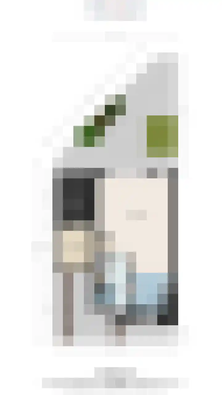 Trompet 2 De Lier thumbnail 53
