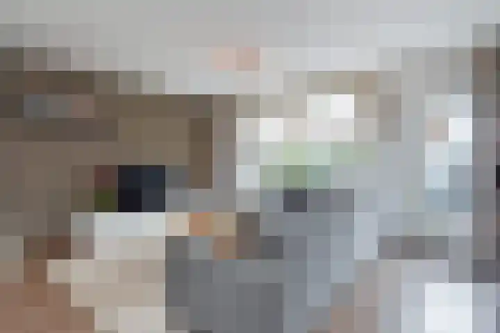 Trompet 2 De Lier thumbnail 8