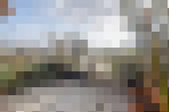 Trompet 38 's-Hertogenbosch thumbnail 21