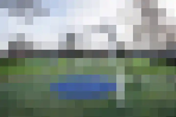 Trompet 38 's-Hertogenbosch thumbnail 35