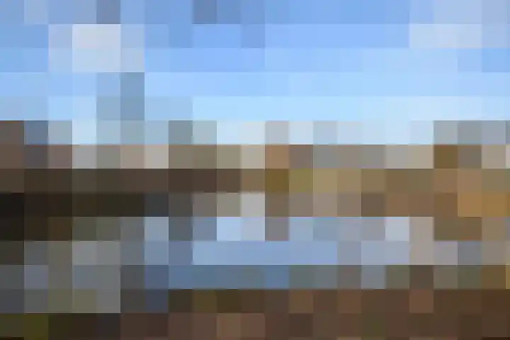 Trompet 38 's-Hertogenbosch thumbnail 37