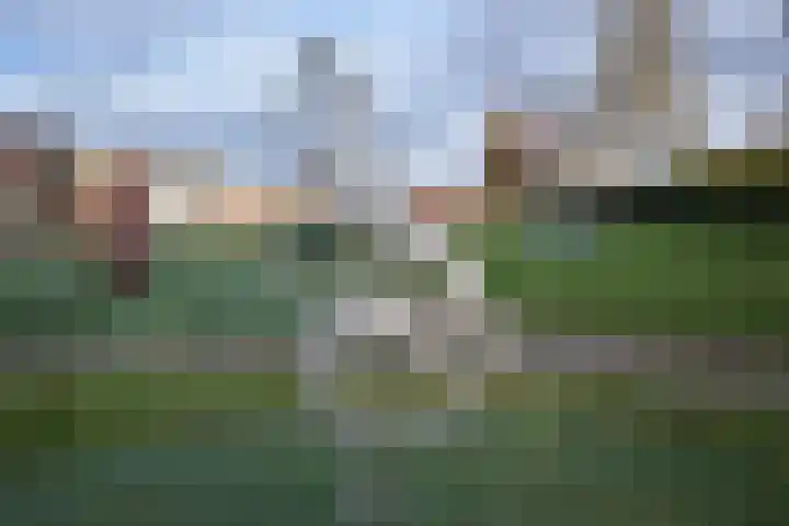 Trompet 38 's-Hertogenbosch thumbnail 38