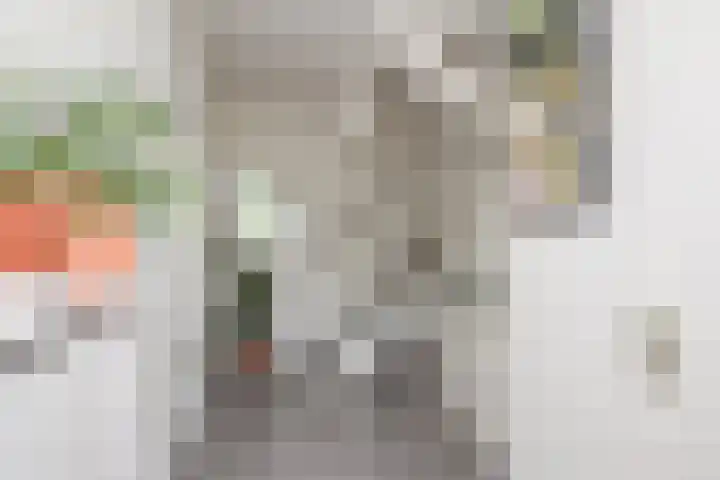 Trompet 38 's-Hertogenbosch thumbnail 8