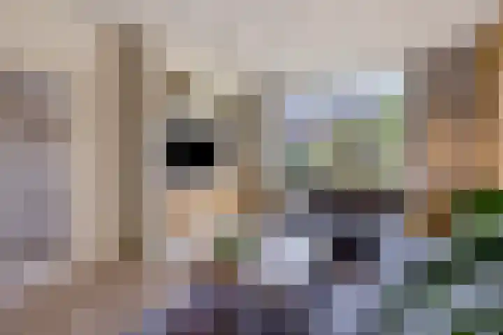 Trompetstraat 30 Uden thumbnail 6