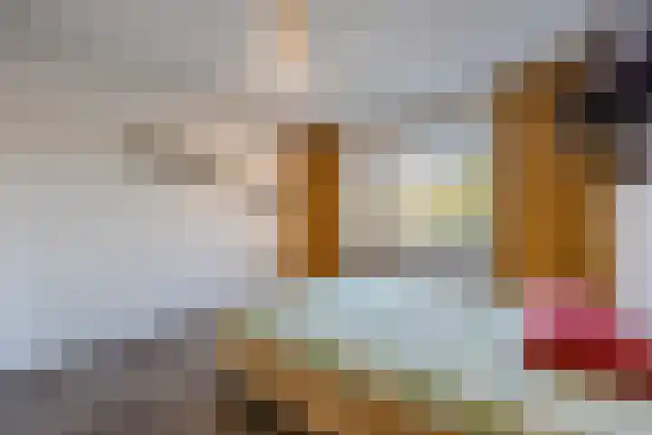 Trompetstraat 38 Uden thumbnail 21
