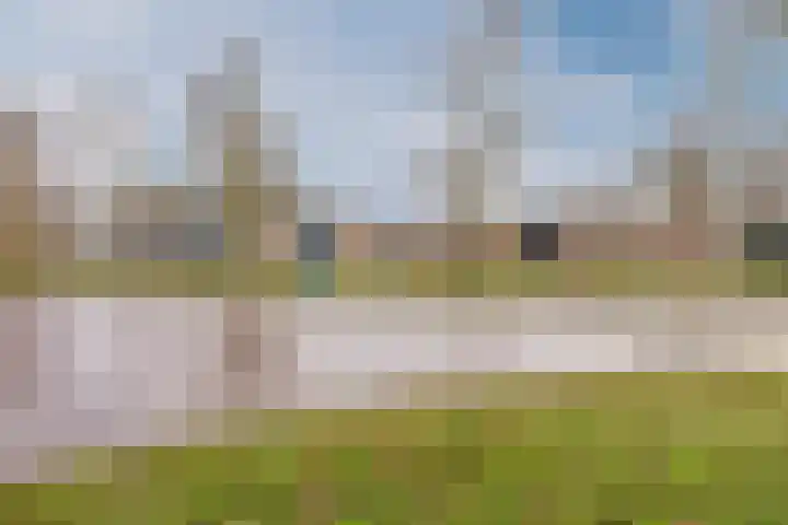 Trompetstraat 38 Uden thumbnail 43