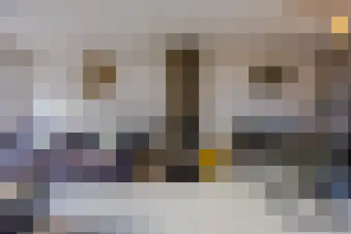 Trompetstraat 38 Uden thumbnail 6