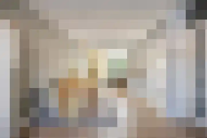 Trompetstraat 7 Uden thumbnail 11