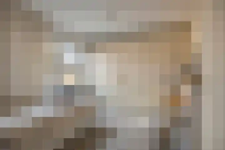 Trompetstraat 7 Uden thumbnail 26