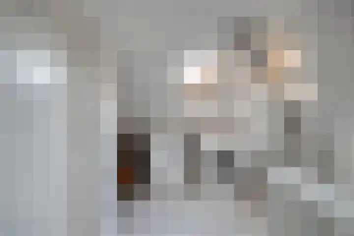 Trompetstraat 7 Uden thumbnail 30