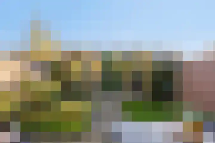 Trompetstraat 7 Uden thumbnail 35