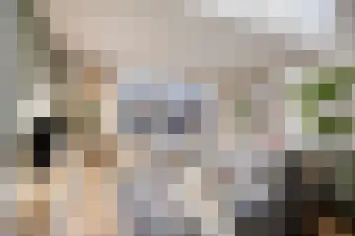Trompetstraat 7 Uden thumbnail 4