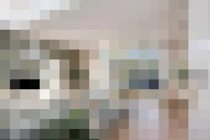 Trompetstraat 7 Uden thumbnail 5