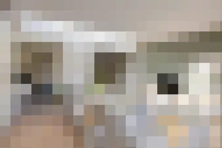 Trompetstraat 7 Uden thumbnail 8