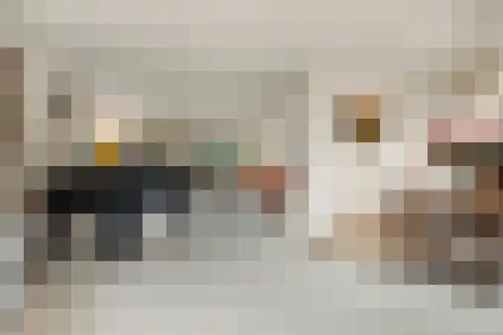 Tromplaan 19 Velp thumbnail 12