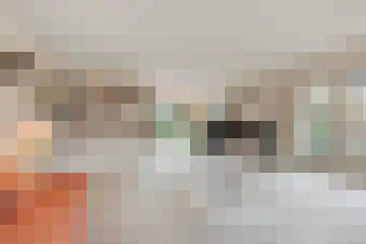Tromplaan 19 Velp thumbnail 15
