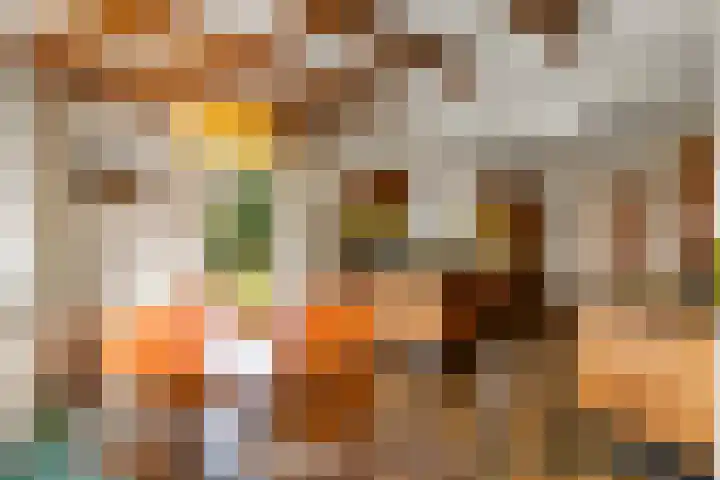 Tromplaan 19 Velp thumbnail 21