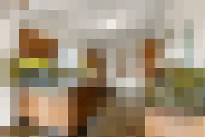 Tromplaan 19 Velp thumbnail 22