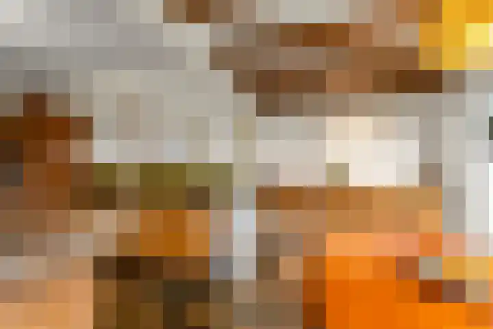Tromplaan 19 Velp thumbnail 23