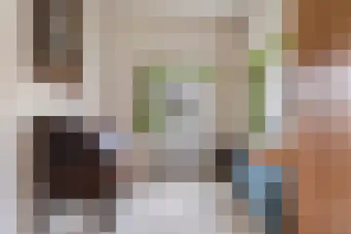 Tromplaan 19 Velp thumbnail 26