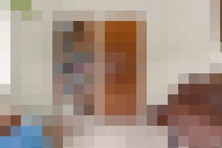 Tromplaan 19 Velp thumbnail 27