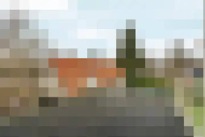 Tromplaan 19 Velp thumbnail 35