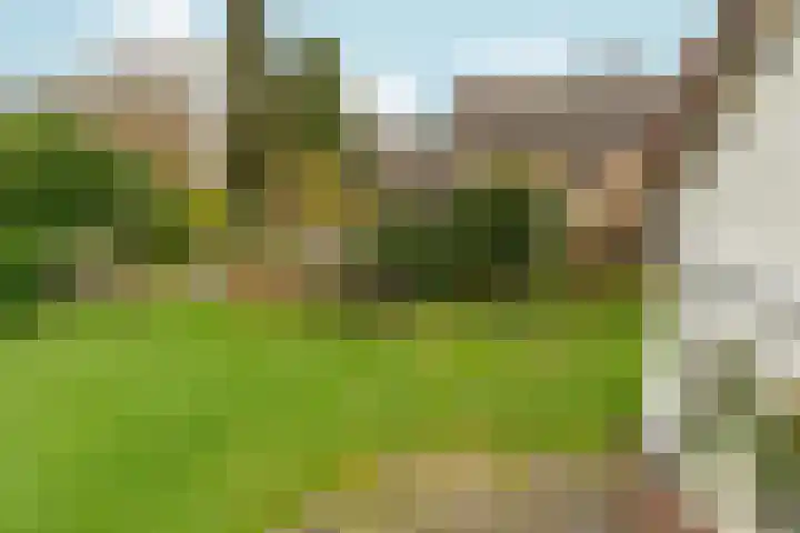 Tromplaan 19 Velp thumbnail 38