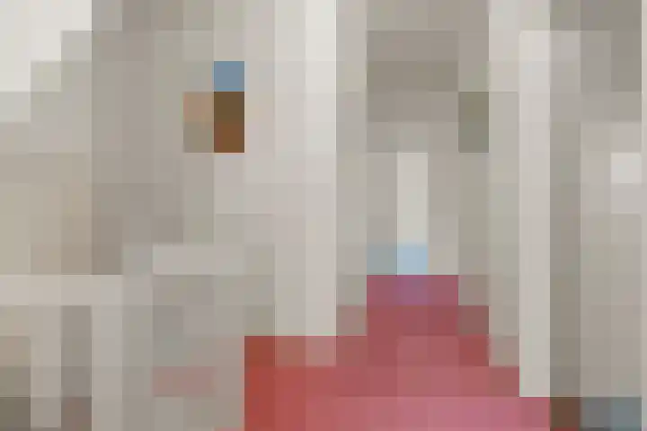 Tromplaan 19 Velp thumbnail 40