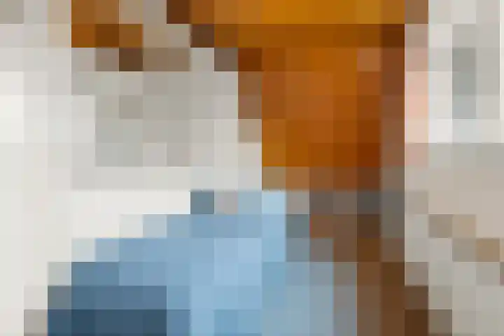 Tromplaan 19 Velp thumbnail 44
