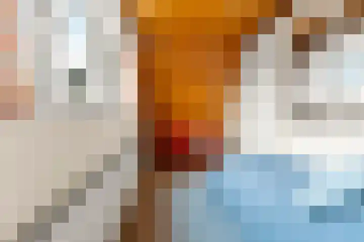 Tromplaan 19 Velp thumbnail 45