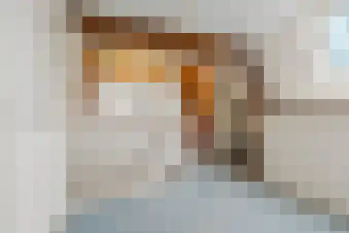 Tromplaan 19 Velp thumbnail 50