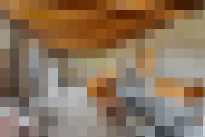 Tromplaan 19 Velp thumbnail 56