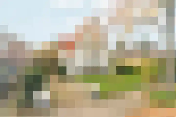 Tromplaan 19 Velp thumbnail 57