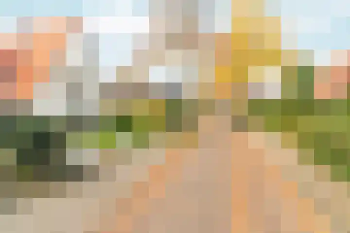 Tromplaan 19 Velp thumbnail 58